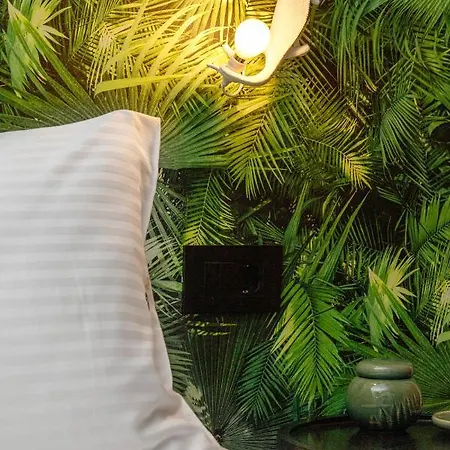 Mimosa Urban Habitation