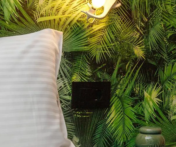 Mimosa Urban Habitation